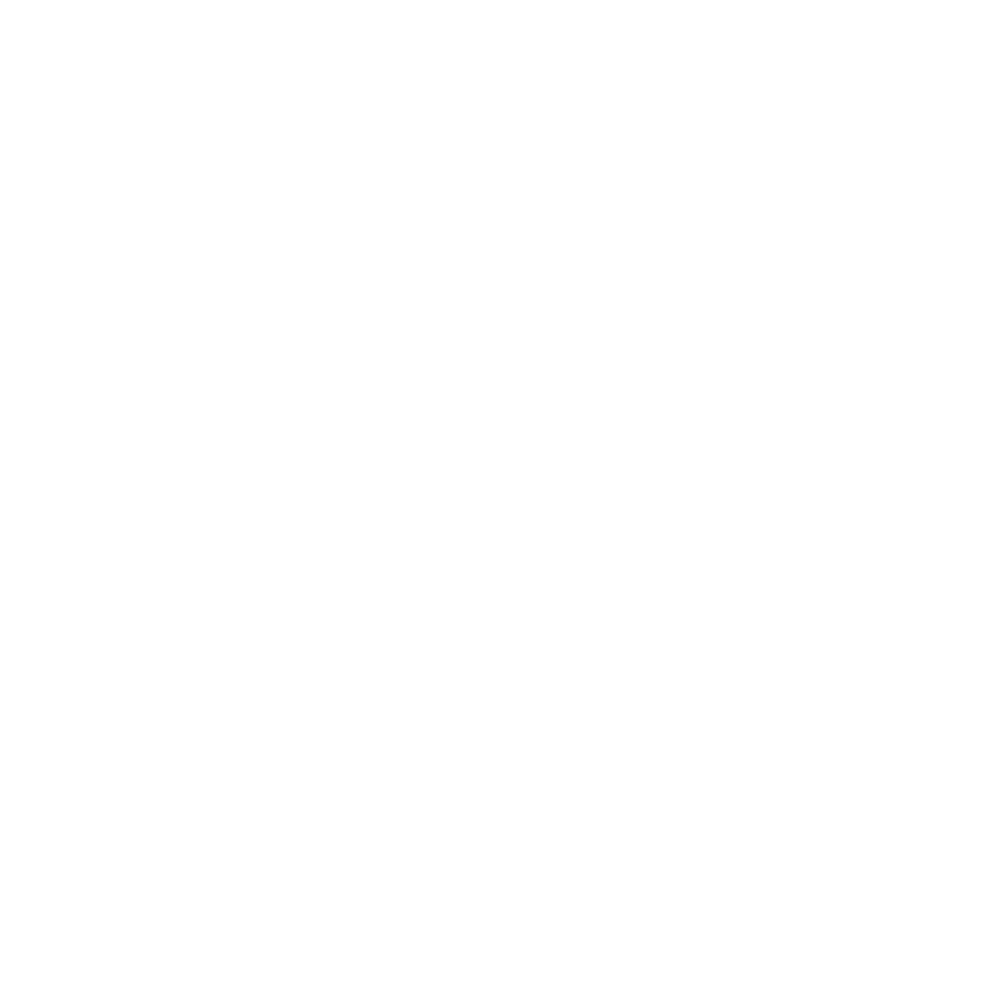 alternative text
