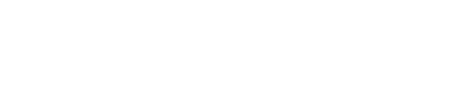 alternative text